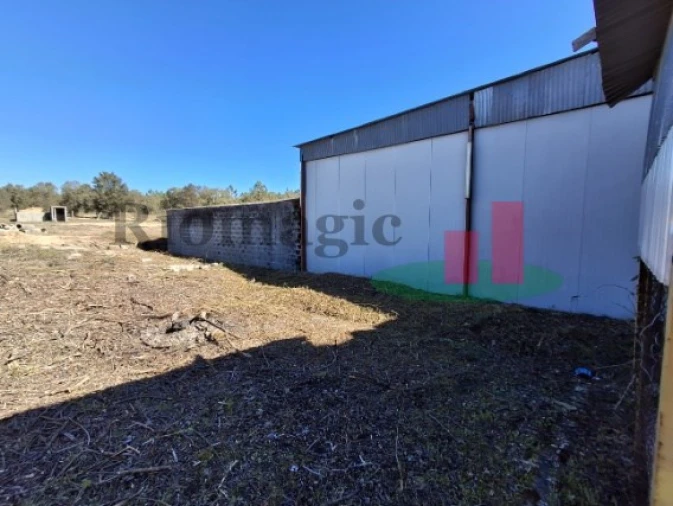 Armazém para Venda em Parreira e Chouto Foto 15