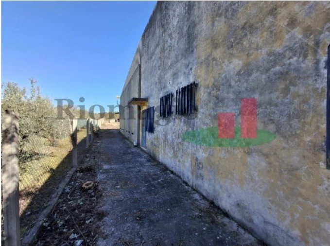 Armazém para Venda em Parreira e Chouto Foto 16