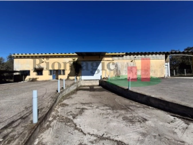 Armazém para Venda em Parreira e Chouto Foto 18