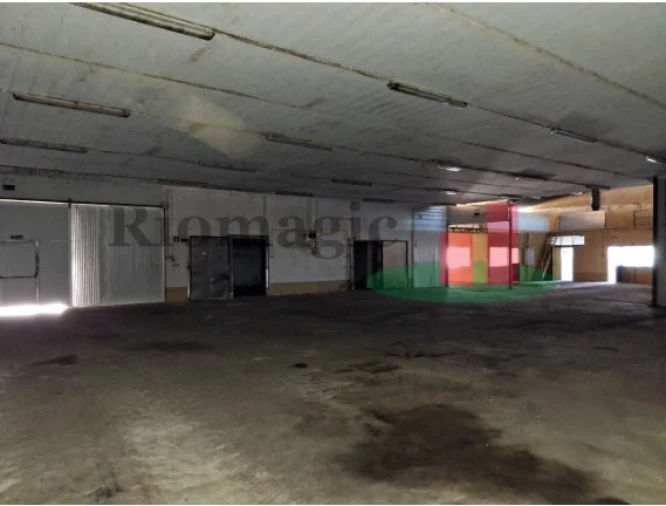 Armazém para Venda em Parreira e Chouto Foto 27