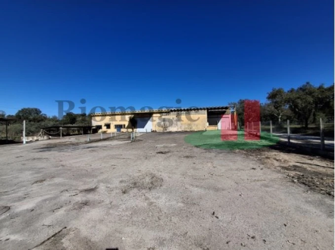 Armazém para Venda em Parreira e Chouto Foto 36