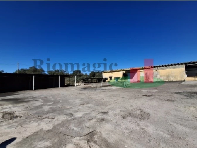 Armazém para Venda em Parreira e Chouto Foto 37