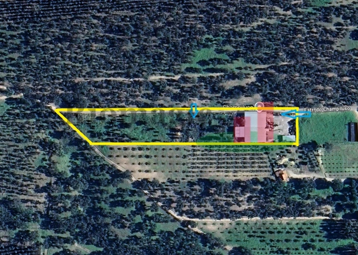 Armazém para Venda em Parreira e Chouto Foto 38