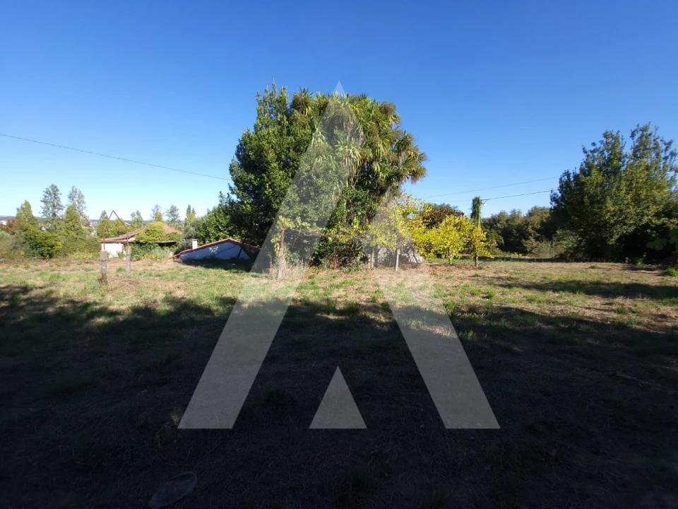 Quinta para Venda em Viseu Foto 7