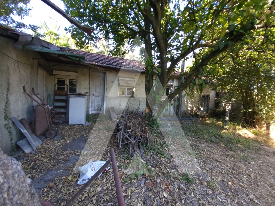 Quinta para Venda em Viseu Foto 9