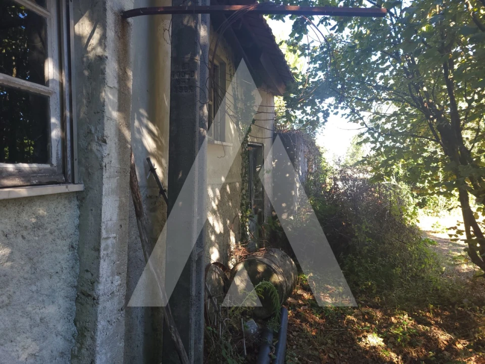 Quinta para Venda em Viseu Foto 10