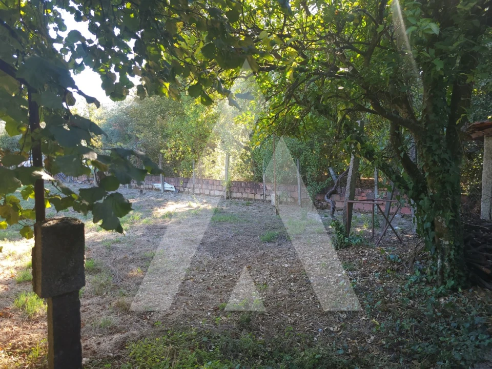 Quinta para Venda em Viseu Foto 3