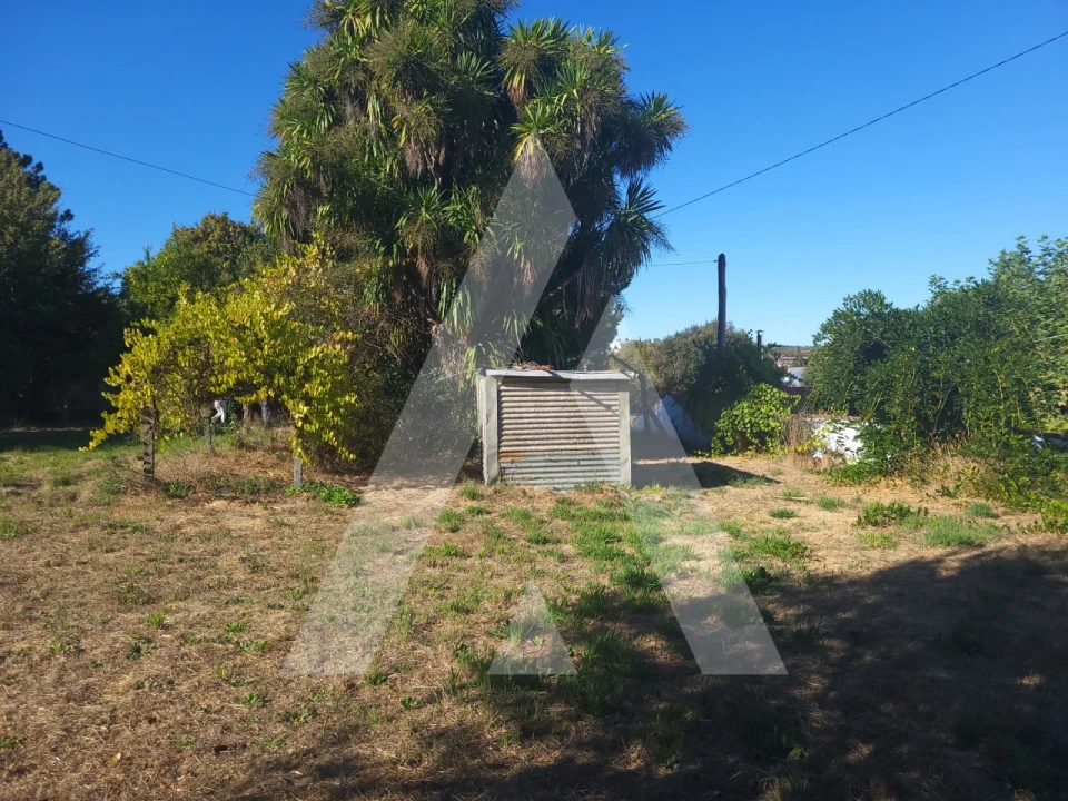 Quinta para Venda em Viseu Foto 1