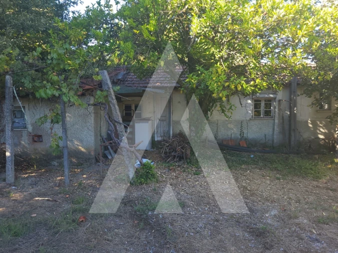 Quinta para Venda em Viseu Foto 8