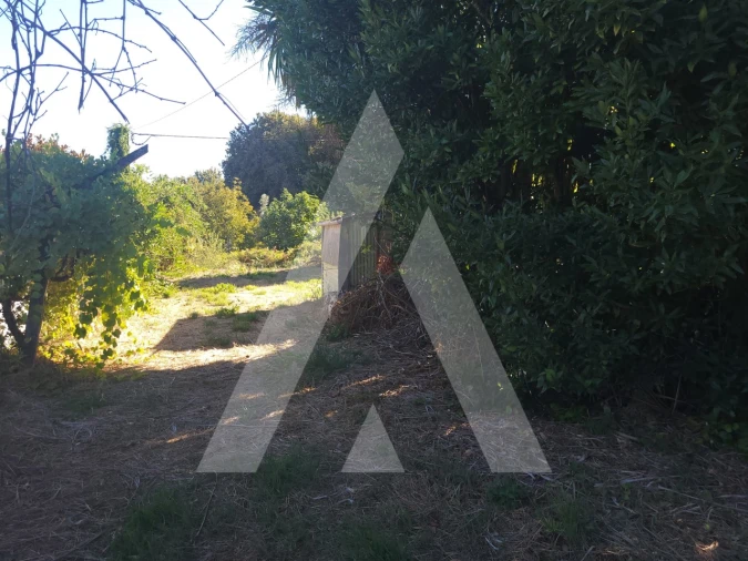 Quinta para Venda em Viseu Foto 4