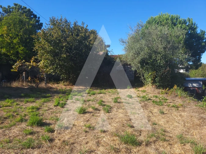 Quinta para Venda em Viseu Foto 5