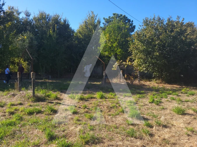 Quinta para Venda em Viseu Foto 6