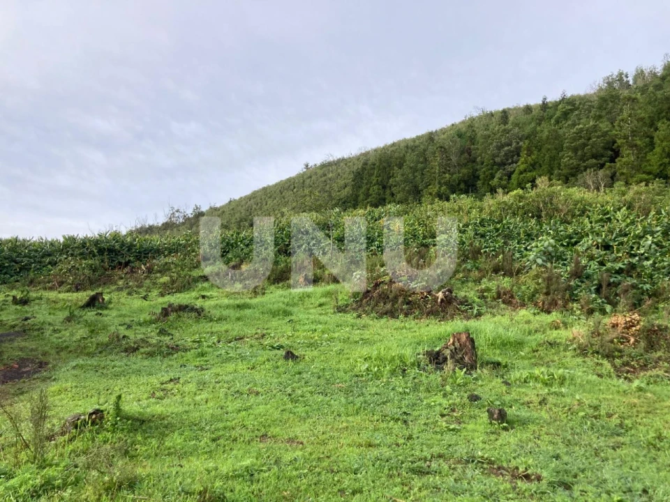 Terreno Agricola ou Rústico para Venda em Pico da Pedra Foto 3