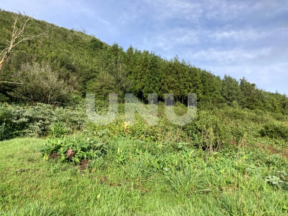 Terreno Agricola ou Rústico para Venda em Pico da Pedra Foto 12
