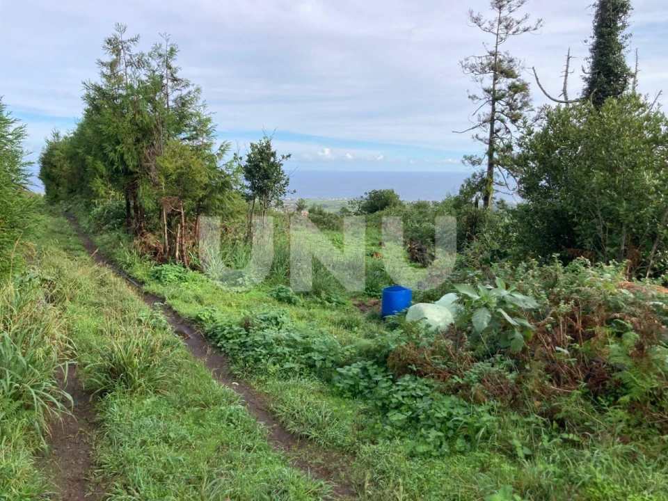 Terreno Agricola ou Rústico para Venda em Pico da Pedra Foto 13