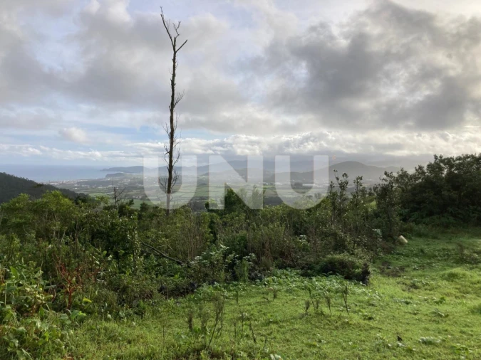 Terreno Agricola ou Rústico para Venda em Pico da Pedra Foto 2