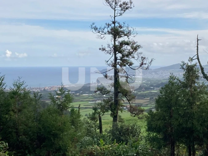 Terreno Agricola ou Rústico para Venda em Pico da Pedra Foto 14