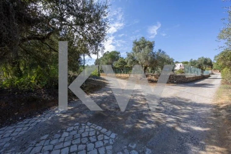 Terreno para Venda em Olhão Foto 4
