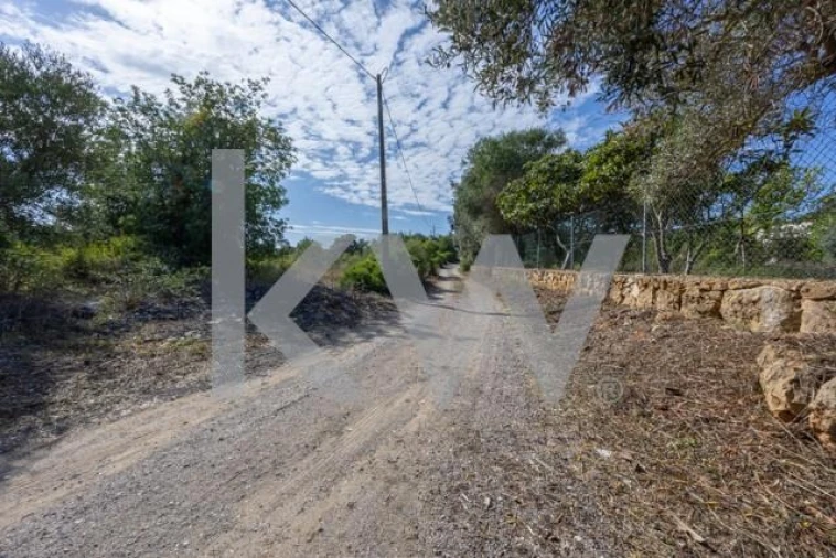 Terreno para Venda em Olhão Foto 5