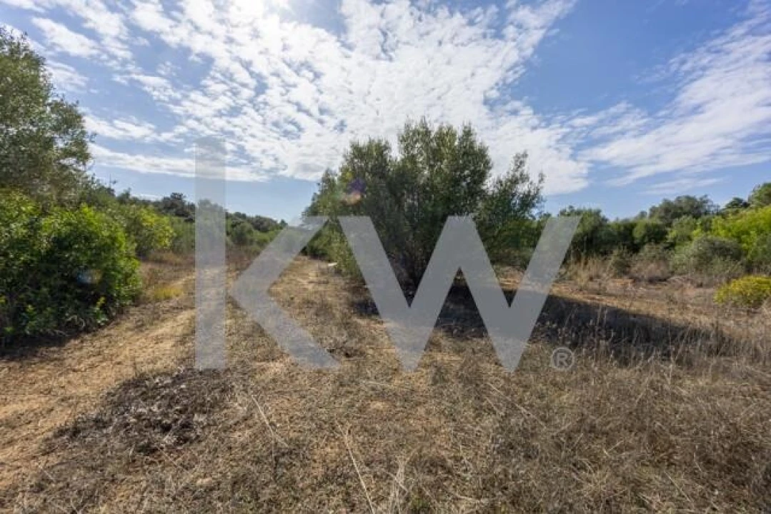 Terreno para Venda em Olhão Foto 12