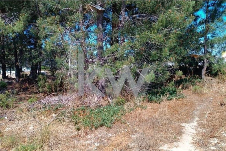 Terreno para Venda em Fernao Ferro Foto 10