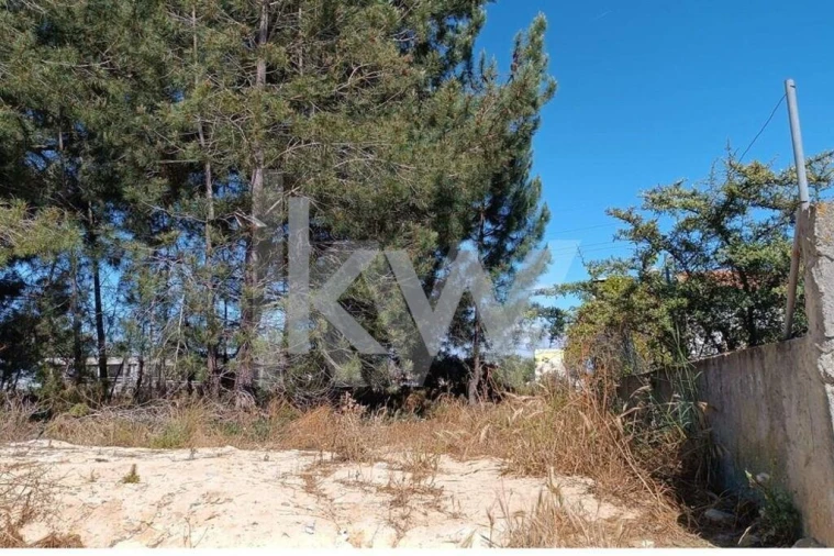 Terreno para Venda em Fernao Ferro Foto 6