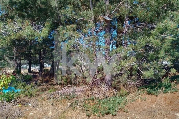 Terreno para Venda em Fernao Ferro Foto 14