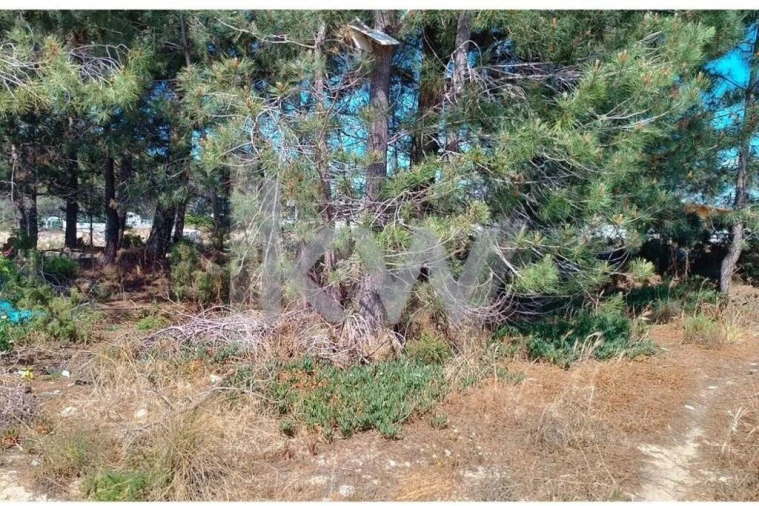 Terreno para Venda em Fernao Ferro Foto 5