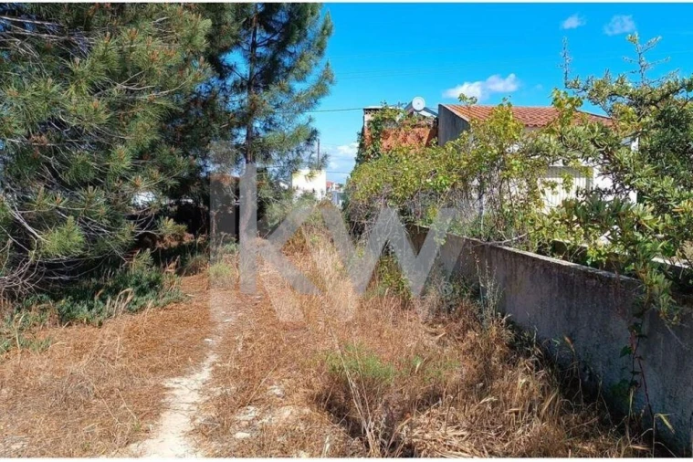 Terreno para Venda em Fernao Ferro Foto 9