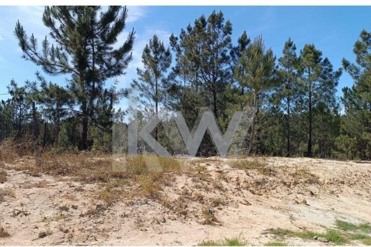 Terreno para Venda em Fernao Ferro Foto 4