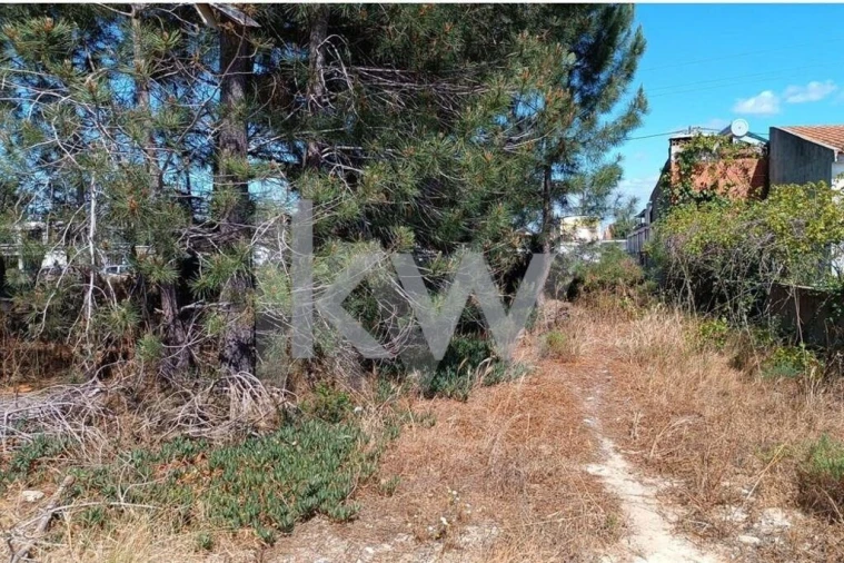 Terreno para Venda em Fernao Ferro Foto 11