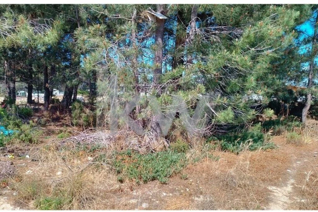 Terreno para Venda em Fernao Ferro Foto 5