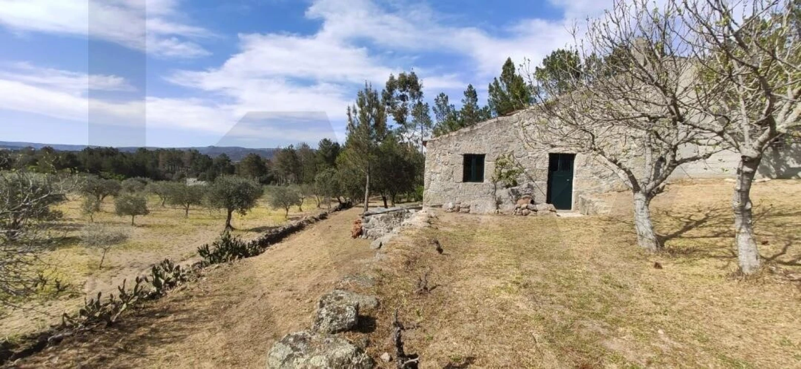 Quinta T2 para Venda em Ratoeira Foto 3