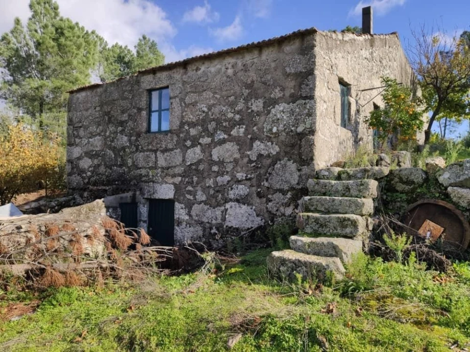 Quinta T2 para Venda em Ratoeira Foto 13