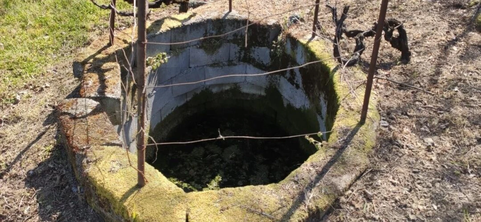 Quinta T2 para Venda em Ratoeira Foto 20