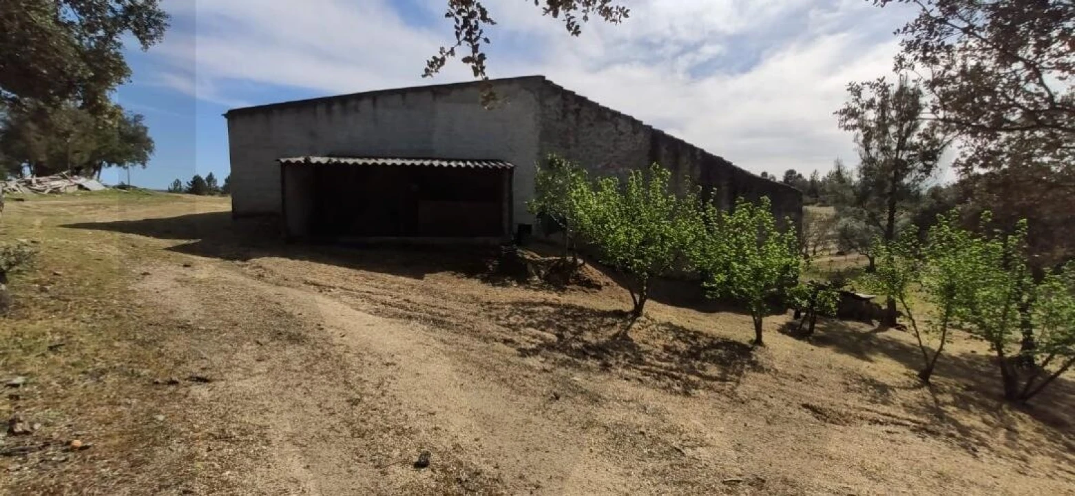 Quinta T2 para Venda em Ratoeira Foto 26