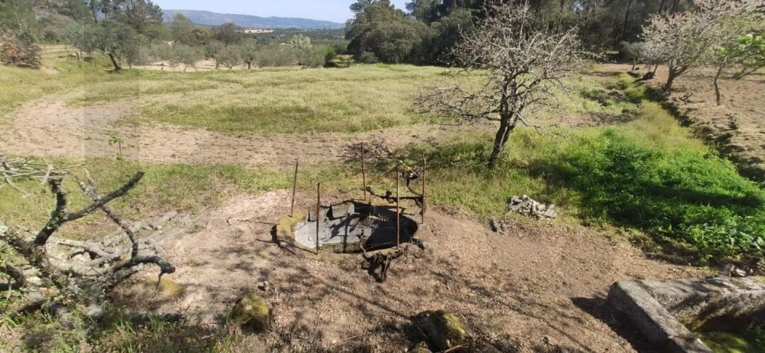 Quinta T2 para Venda em Ratoeira Foto 19