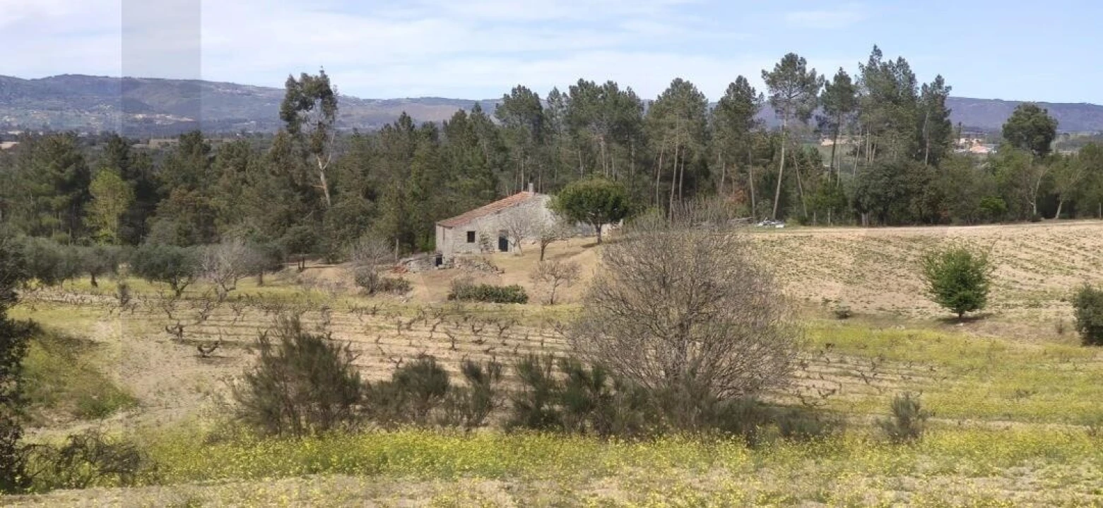 Quinta T2 para Venda em Ratoeira Foto 35