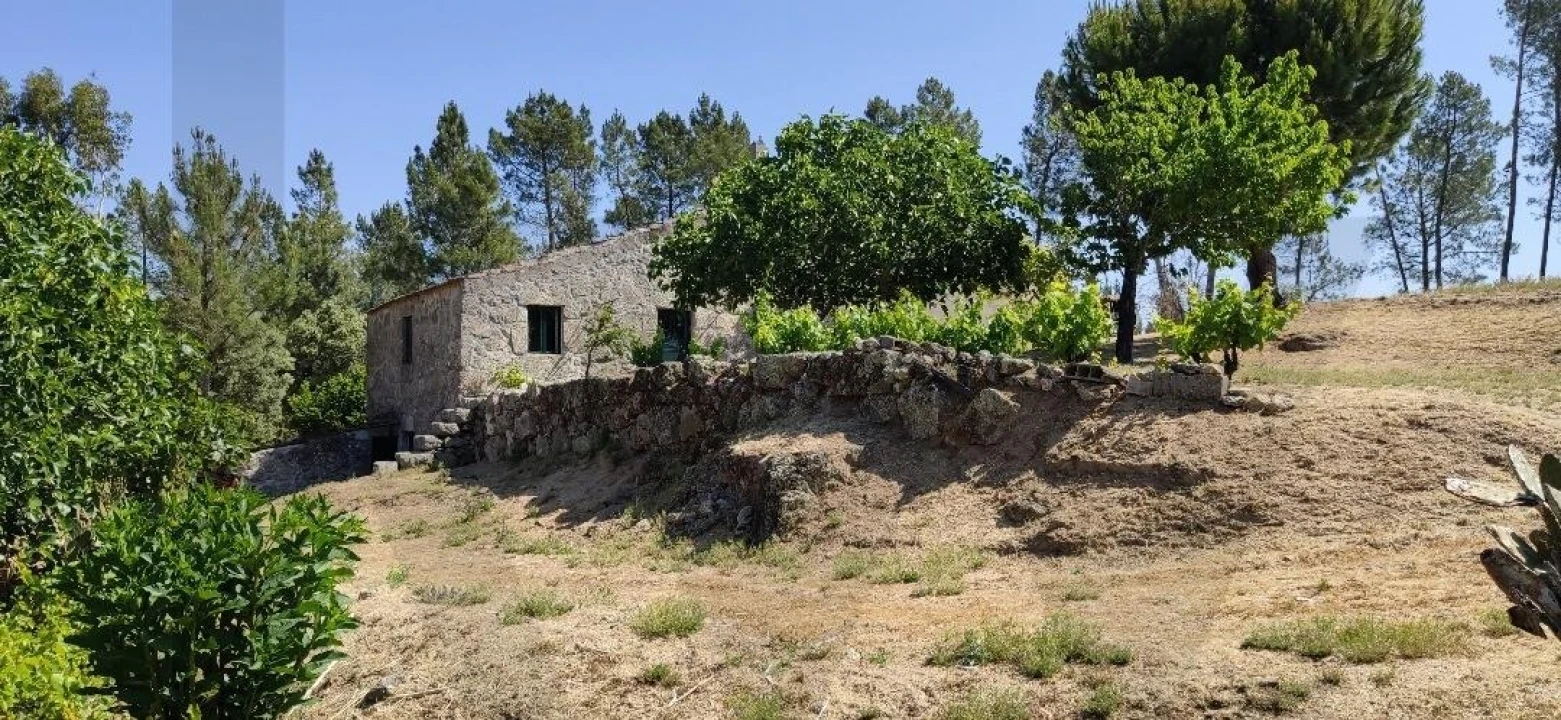 Quinta T2 para Venda em Ratoeira Foto 30