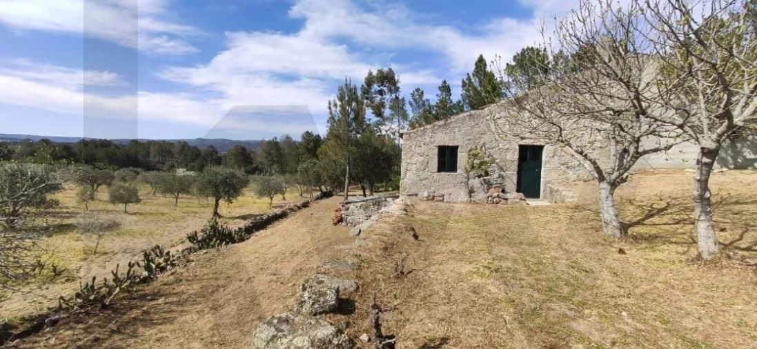 Quinta T2 para Venda em Ratoeira Foto 3