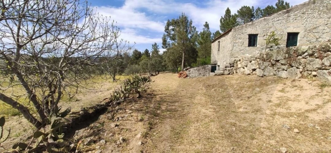 Quinta T2 para Venda em Ratoeira Foto 27