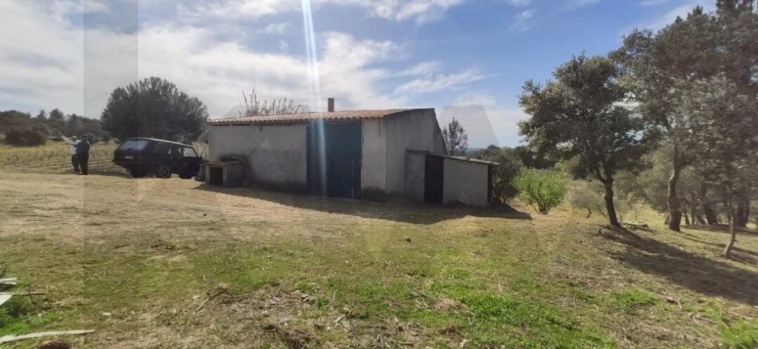 Quinta T2 para Venda em Ratoeira Foto 32