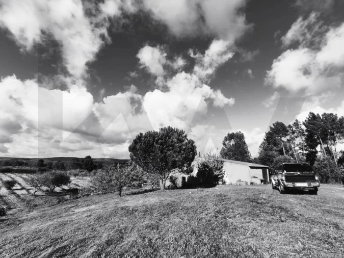 Quinta T2 para Venda em Ratoeira Foto 6