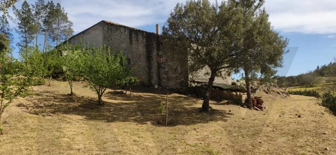 Quinta T2 para Venda em Ratoeira Foto 25