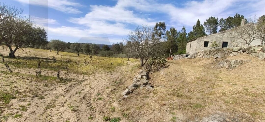 Quinta T2 para Venda em Ratoeira Foto 34