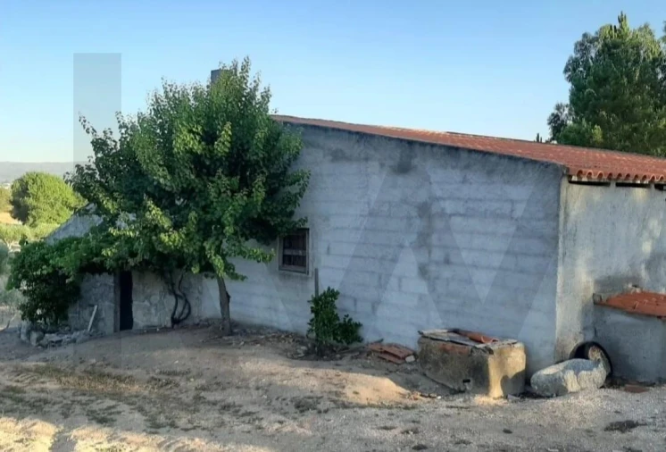 Quinta T2 para Venda em Ratoeira Foto 29