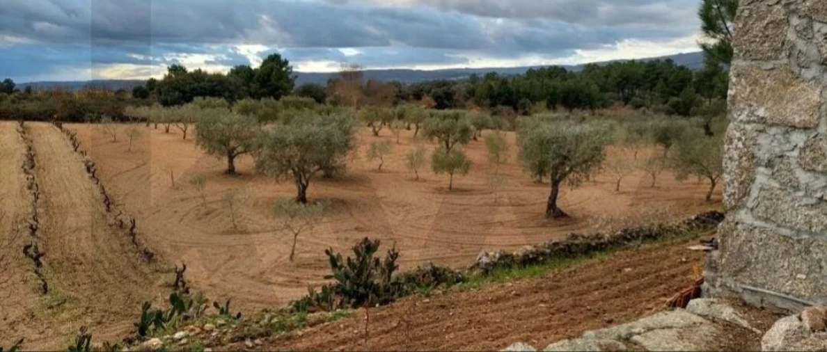 Quinta T2 para Venda em Ratoeira Foto 16