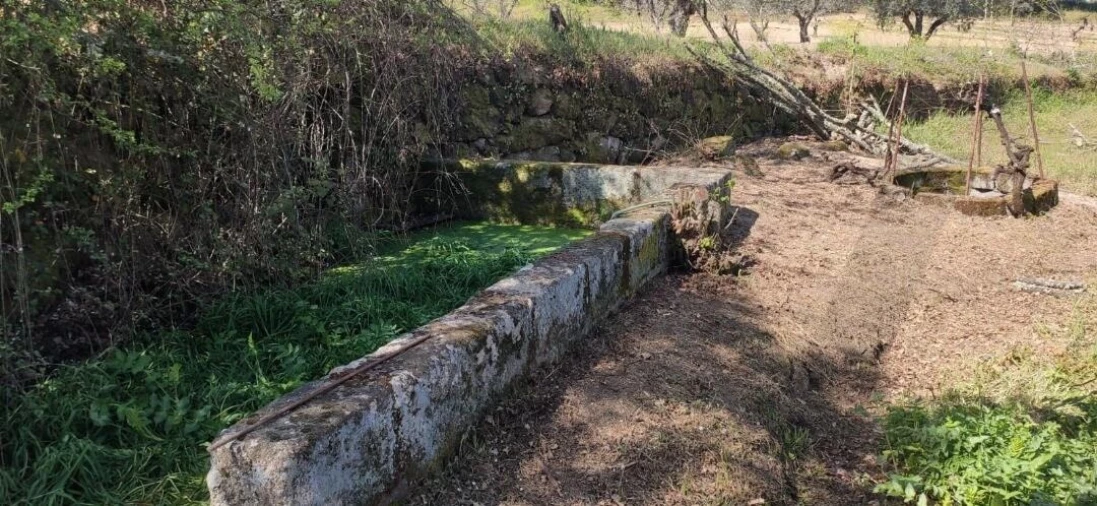 Quinta T2 para Venda em Ratoeira Foto 21