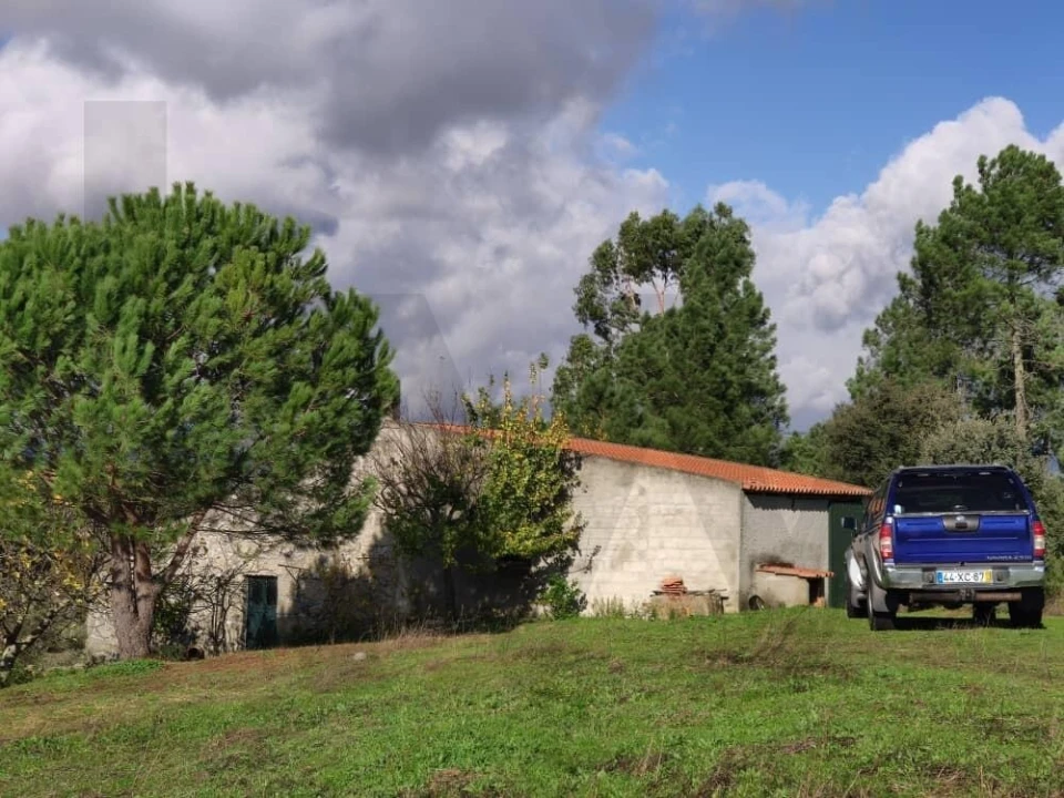 Quinta T2 para Venda em Ratoeira Foto 5