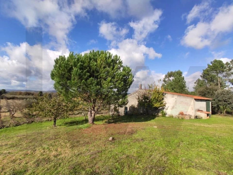 Quinta T2 para Venda em Ratoeira Foto 14